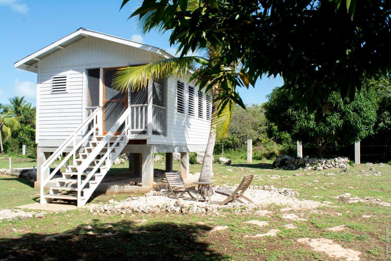 Horse Cottage Sarteneja Exterior photo