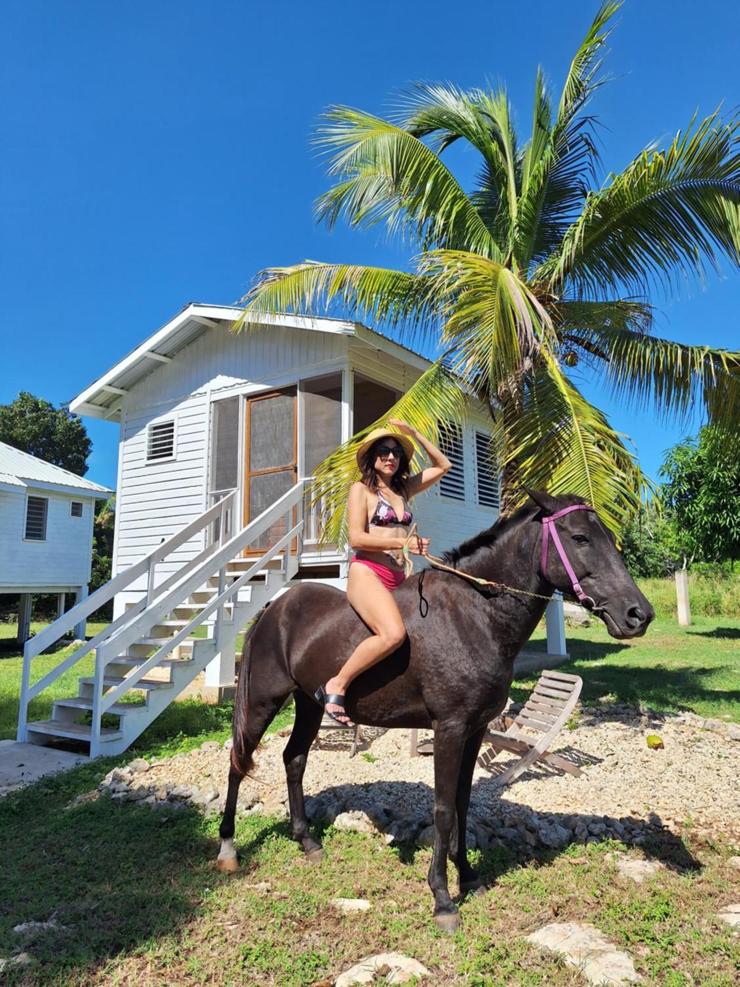 Horse Cottage Sarteneja Exterior photo