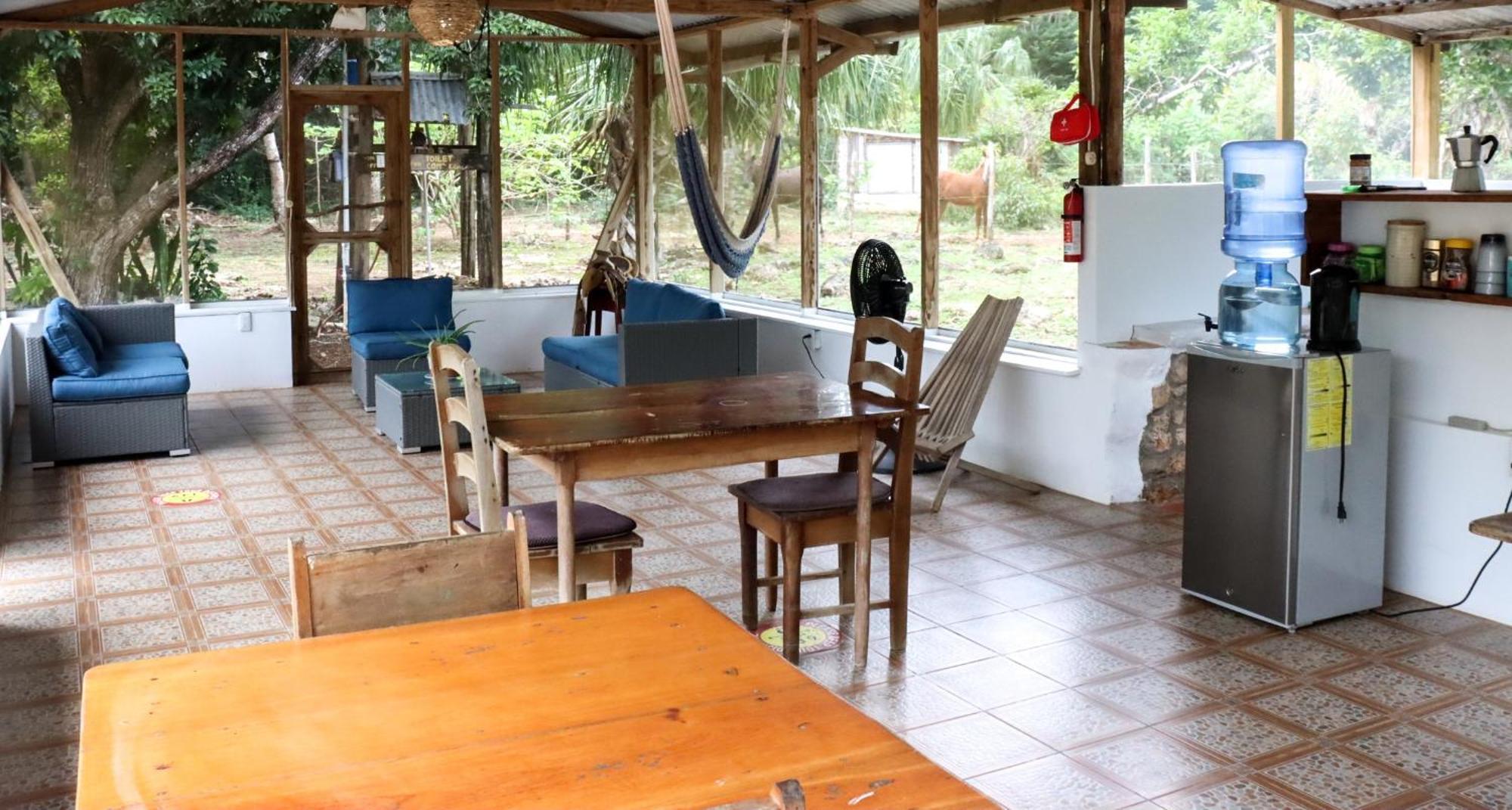 Horse Cottage Sarteneja Exterior photo