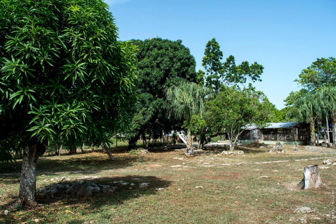 Horse Cottage Sarteneja Exterior photo