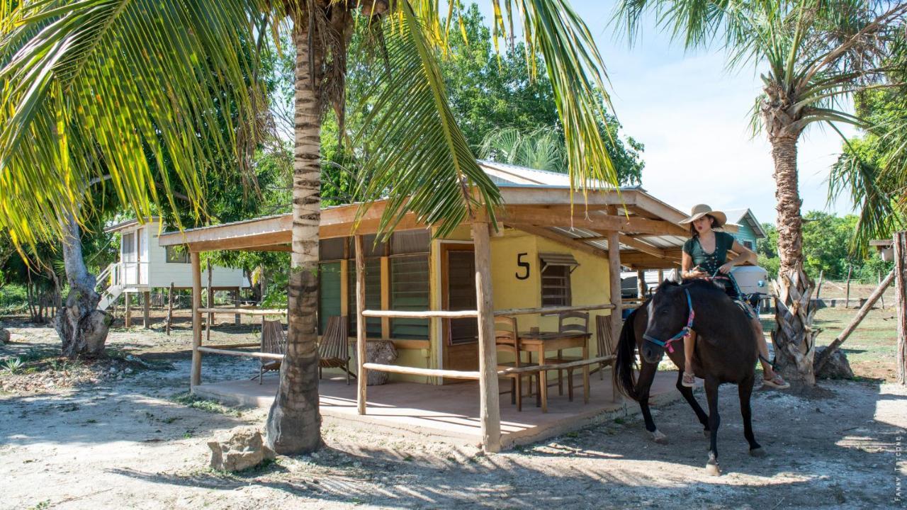 Horse Cottage Sarteneja Exterior photo