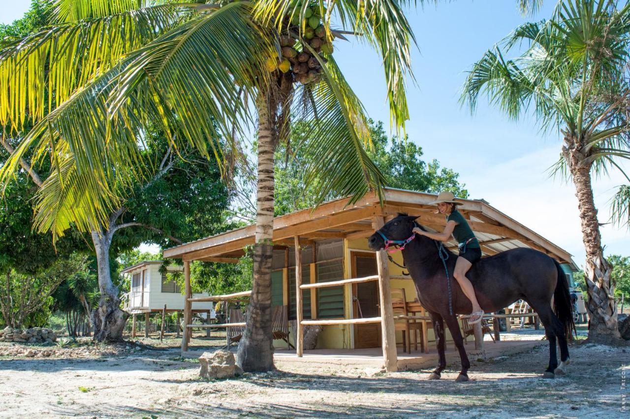 Horse Cottage Sarteneja Exterior photo