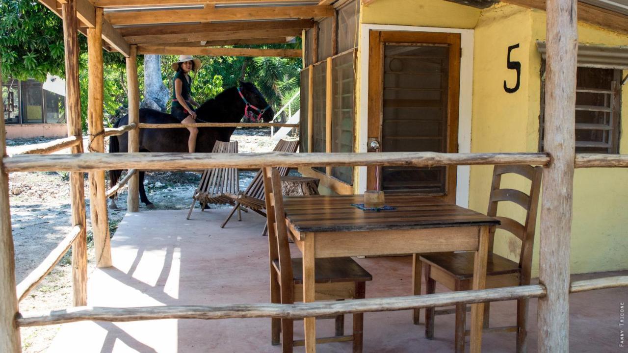 Horse Cottage Sarteneja Exterior photo